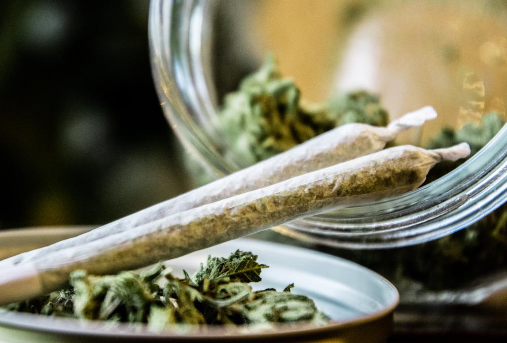 Premium "Oregano"