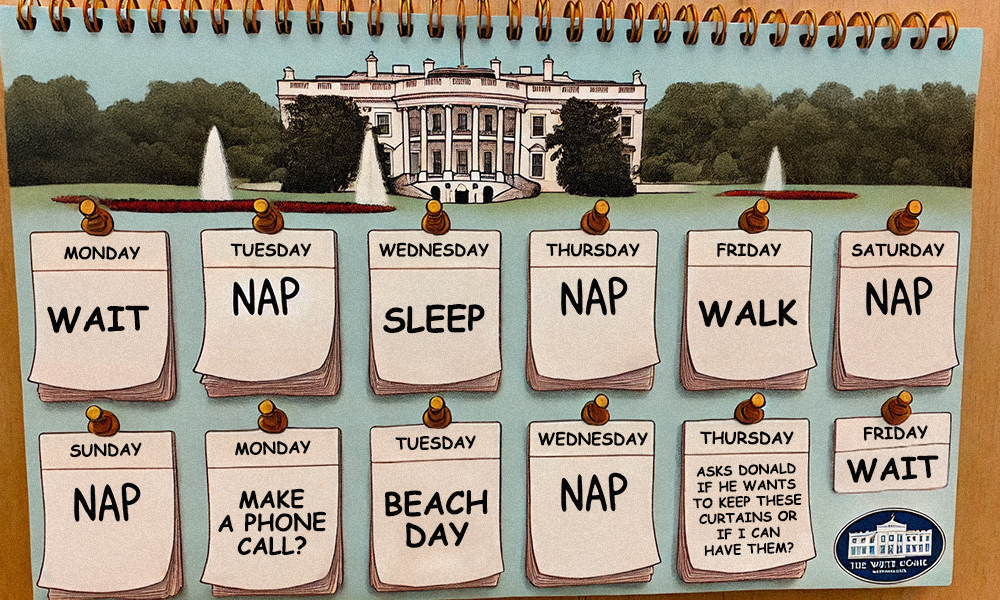 Biden's calendar is looking pretty free so if you want to set up a game of tennis or something, now's your chance.