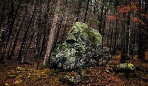 JD Vance Discovered Living Under Rock For A Month