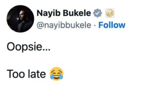 “Oopsie… Too Late,” To Be Written Into Constitution As Valid Legal Defence