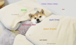 Elon’s DOGE Just Quietly Shut Down And No One Seems To Have Noticed