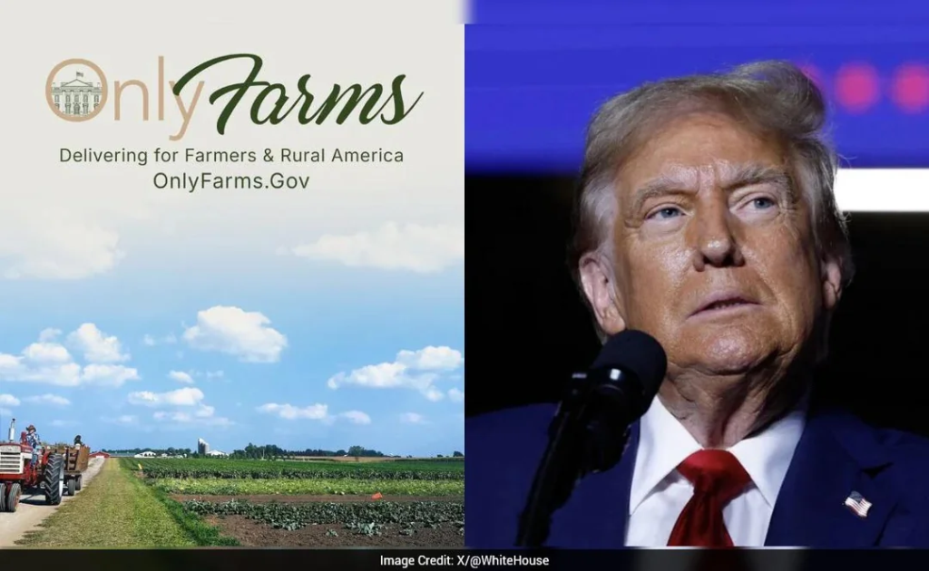 Trump Unveils ‘OnlyFarms’ Government Website And It’s Really Not What You Think